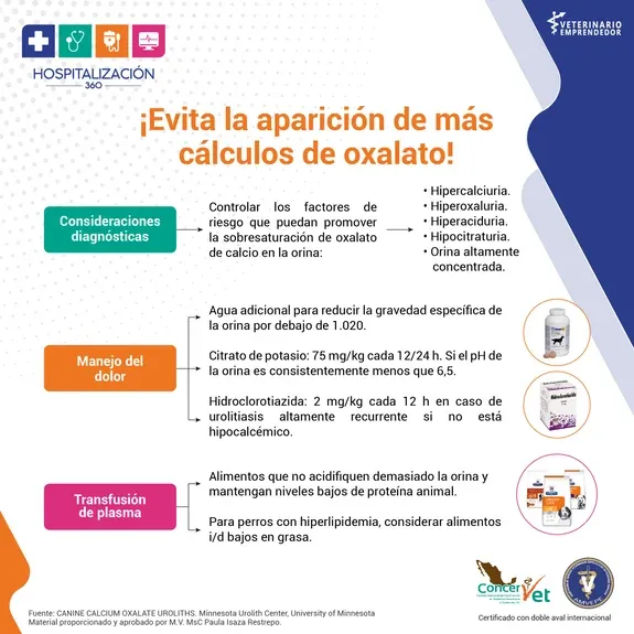 ¡Evita la aparieción de más cálculos de oxalato!