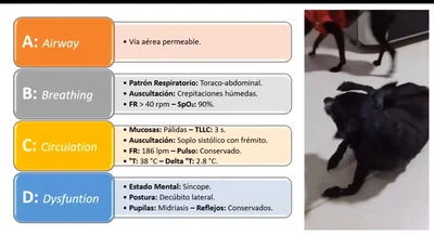 Nuestro ABCD